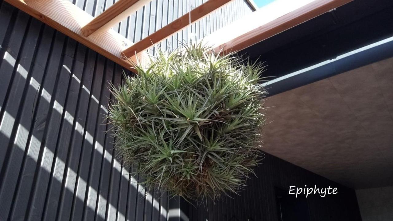 Epiphytes Et Succulentes Paimpol Exterior foto